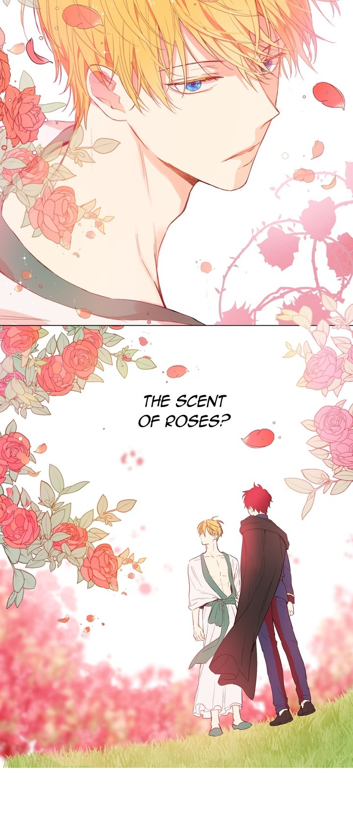 Read Who Made Me A Princess EN Manga Online