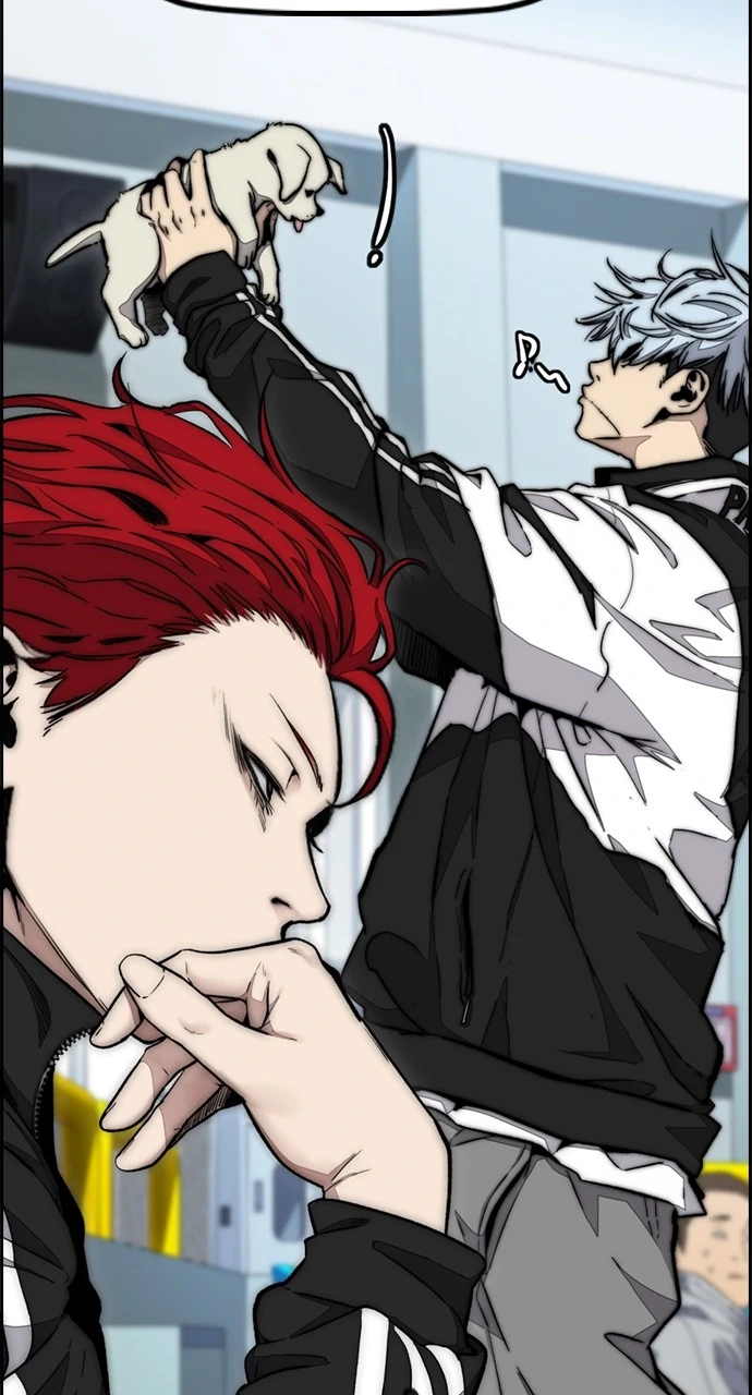 Read Wind Breaker EN Manga Online