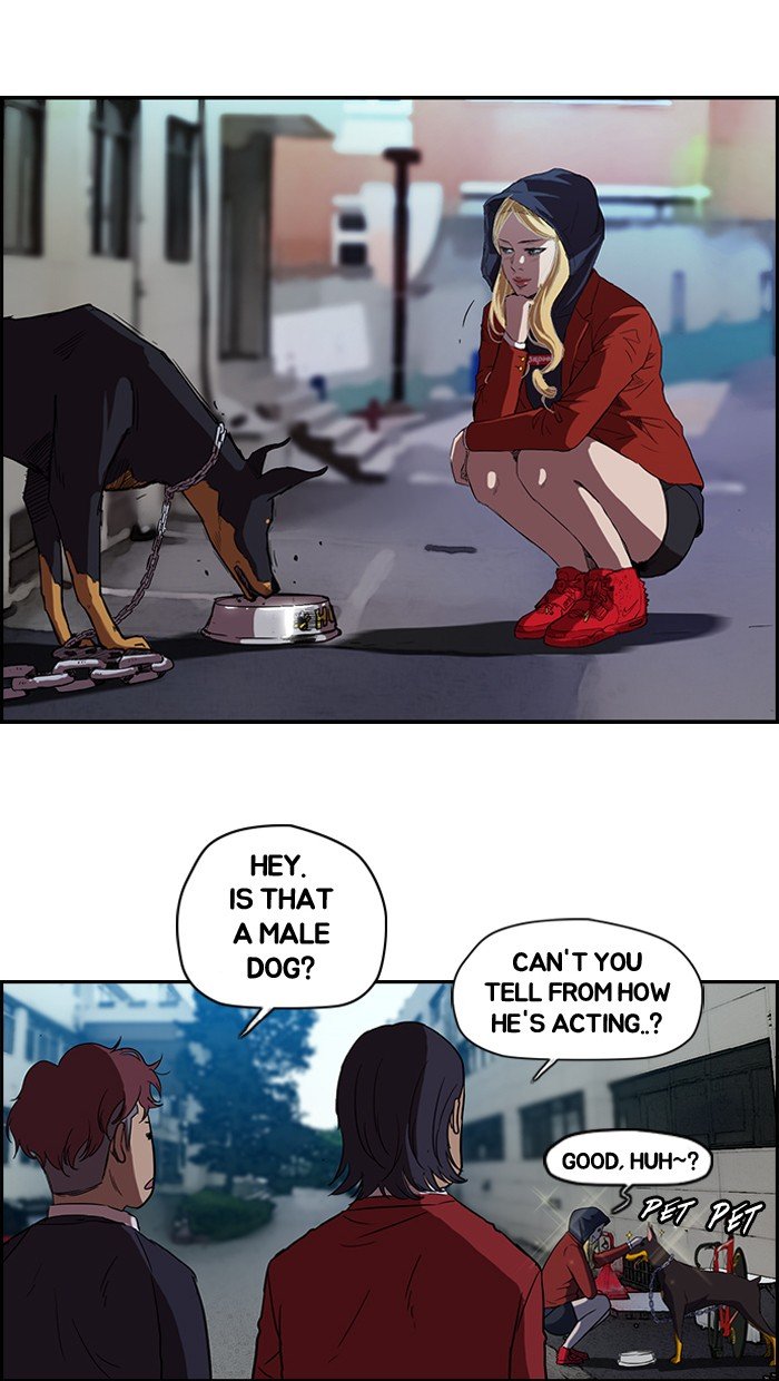 Read Wind Breaker EN Manga Online
