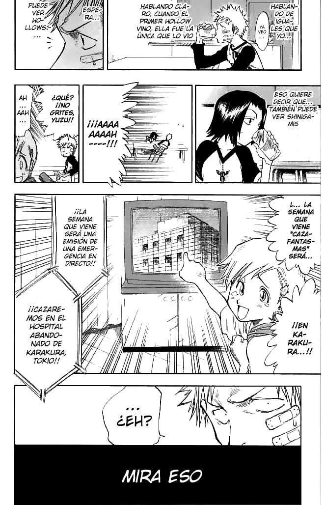 Read Bleach ES Manga Online