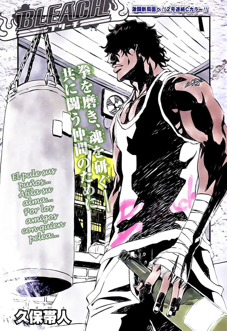Read Bleach ES Manga Online