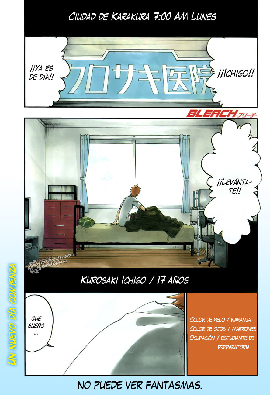Read Bleach ES Manga Online