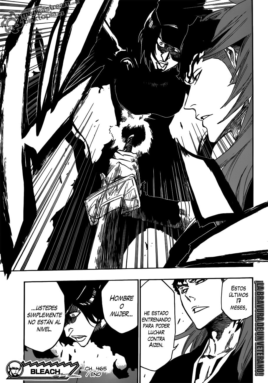 Read Bleach ES Manga Online