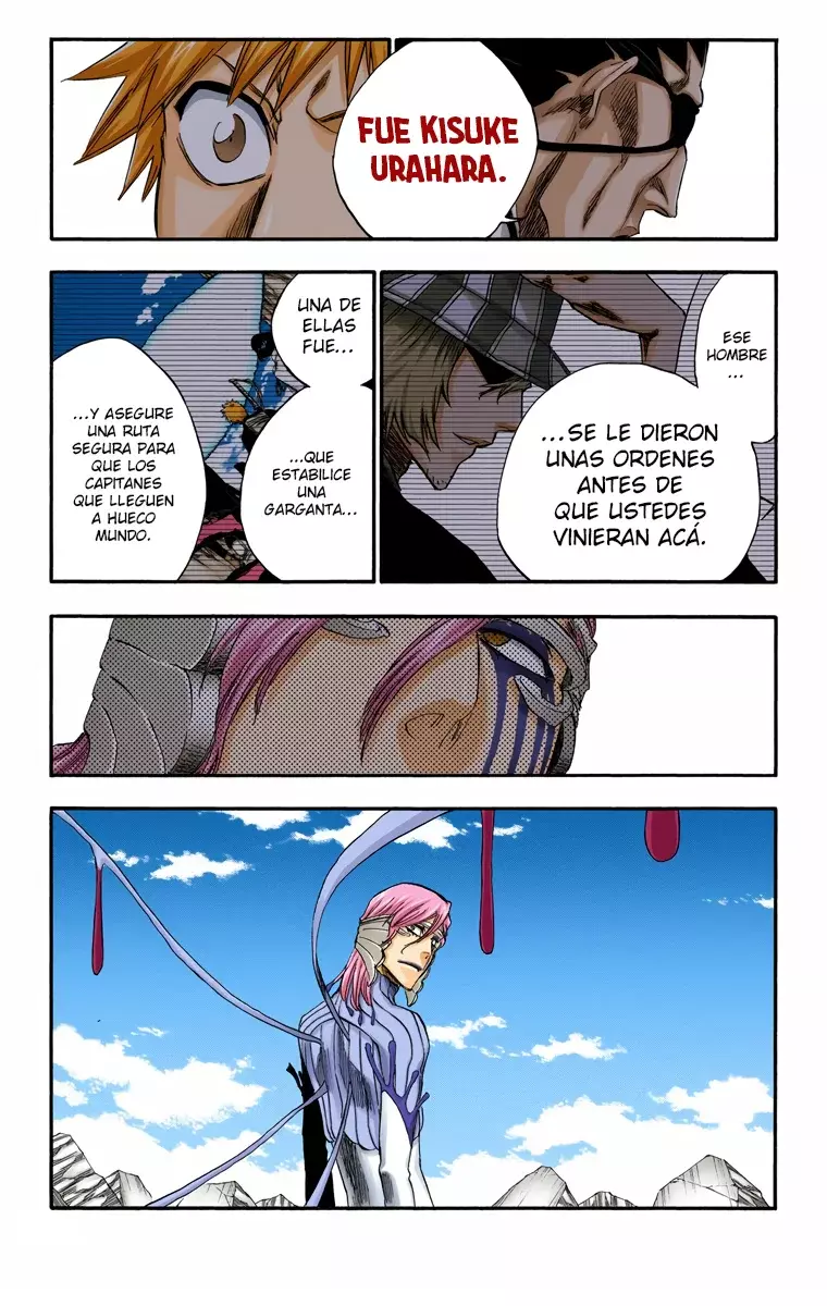 Read Bleach Full Color ES Manga Online