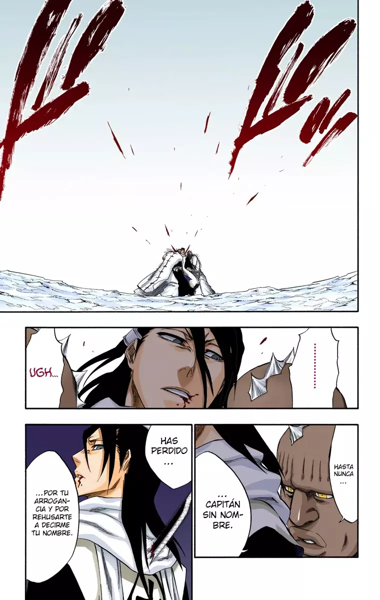 Read Bleach Full Color ES Manga Online
