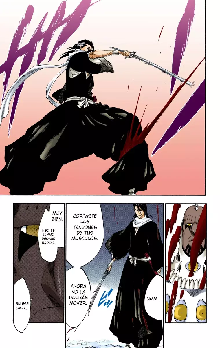 Read Bleach Full Color ES Manga Online