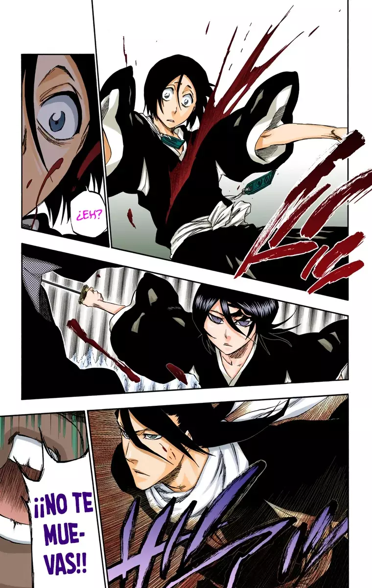 Read Bleach Full Color ES Manga Online
