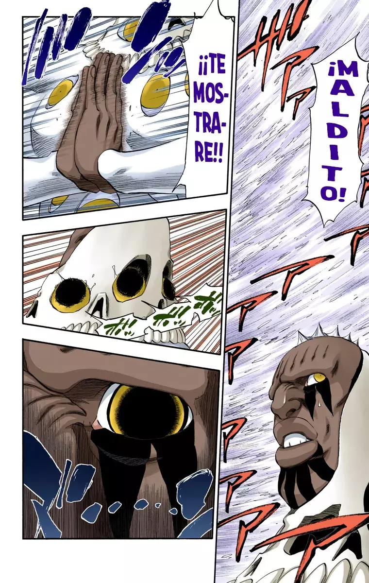 Read Bleach Full Color ES Manga Online
