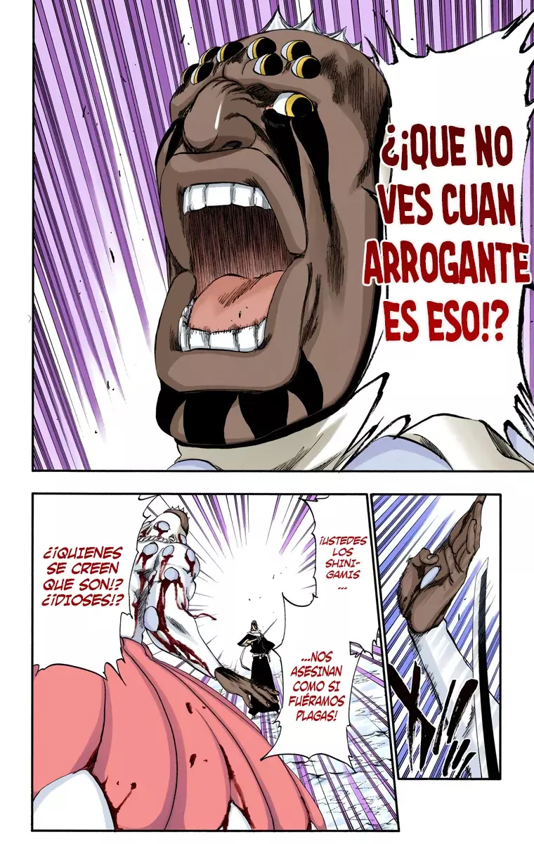 Read Bleach Full Color ES Manga Online