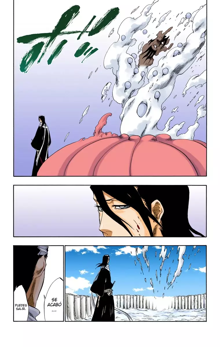 Read Bleach Full Color ES Manga Online