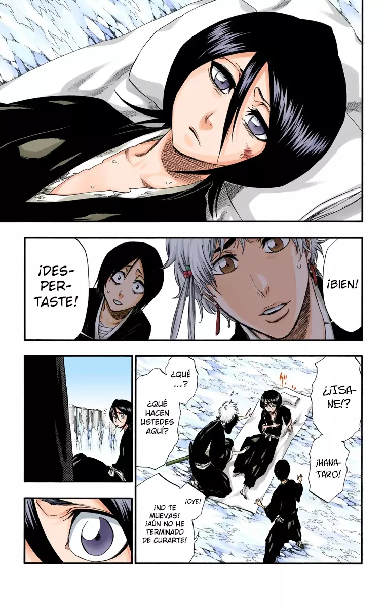 Read Bleach Full Color ES Manga Online