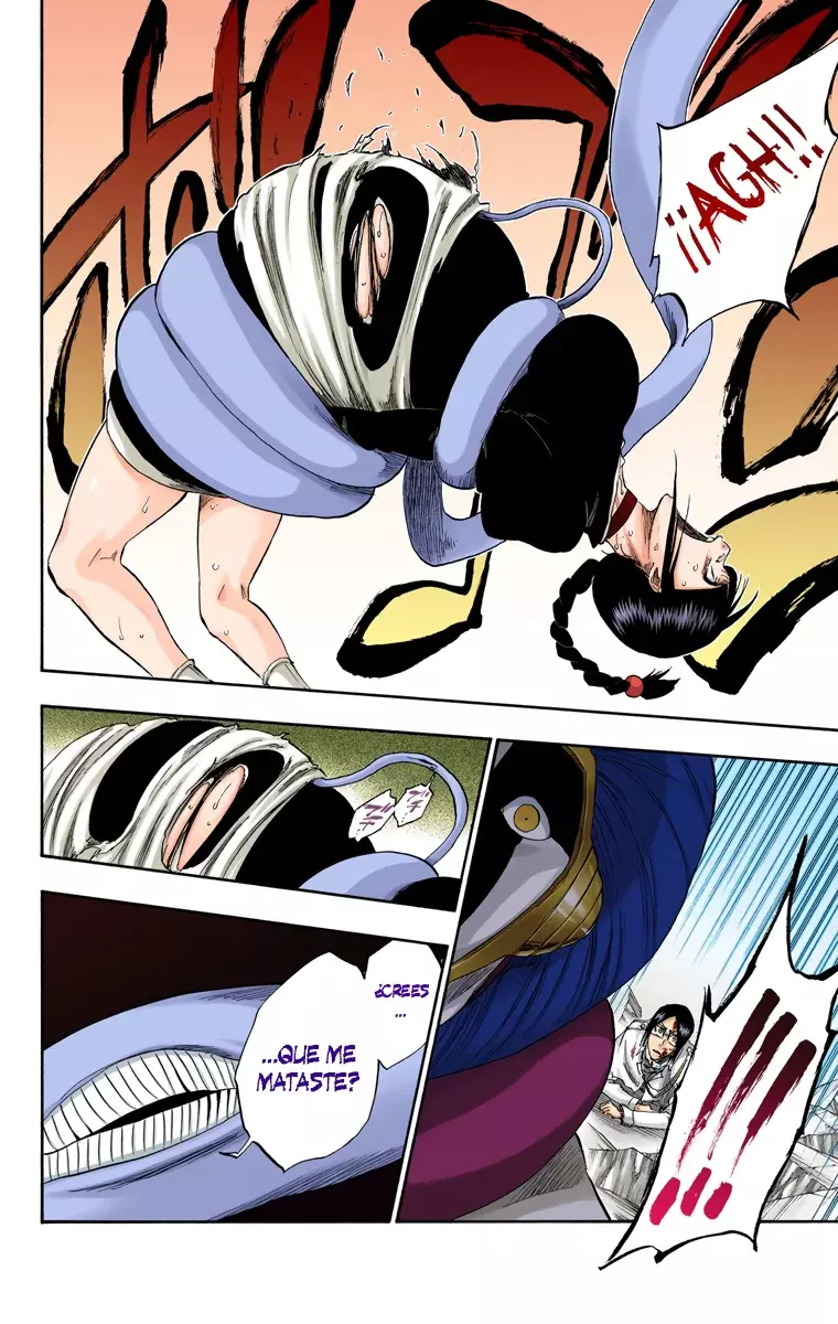 Read Bleach Full Color ES Manga Online