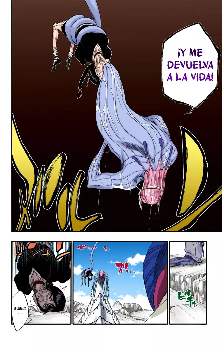 Read Bleach Full Color ES Manga Online