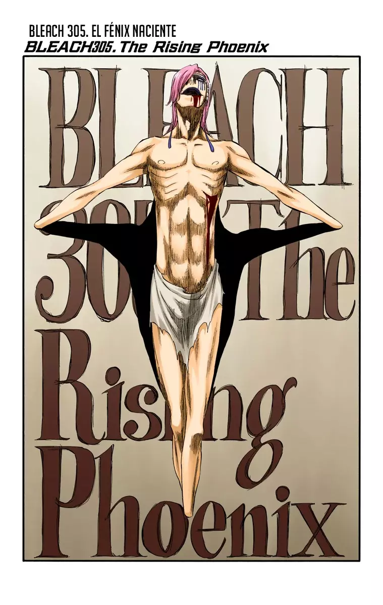 Read Bleach Full Color ES Manga Online