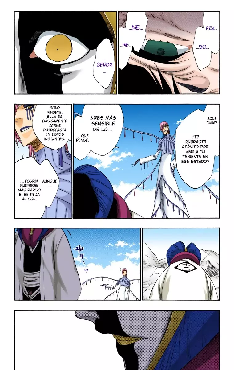 Read Bleach Full Color ES Manga Online