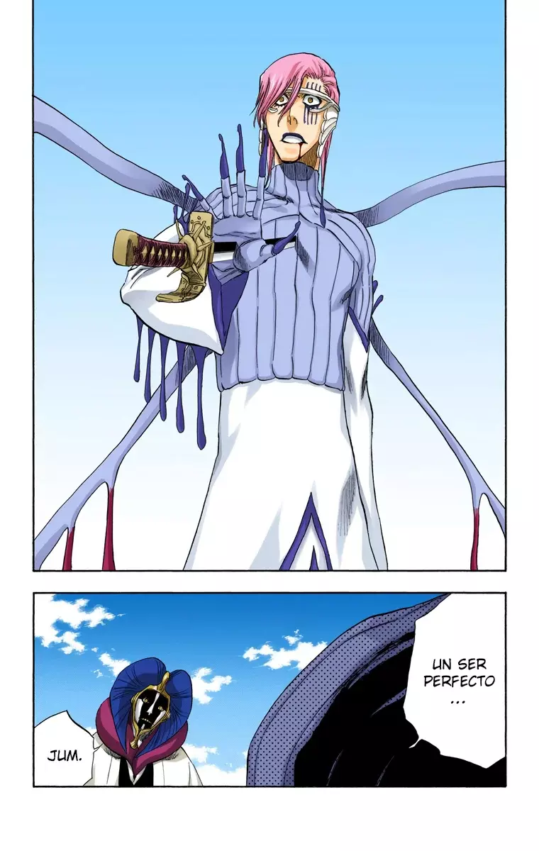 Read Bleach Full Color ES Manga Online