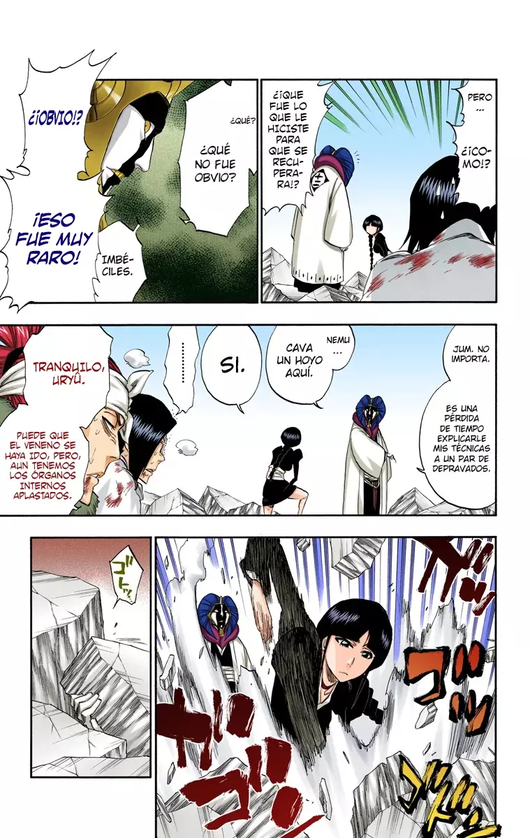 Read Bleach Full Color ES Manga Online