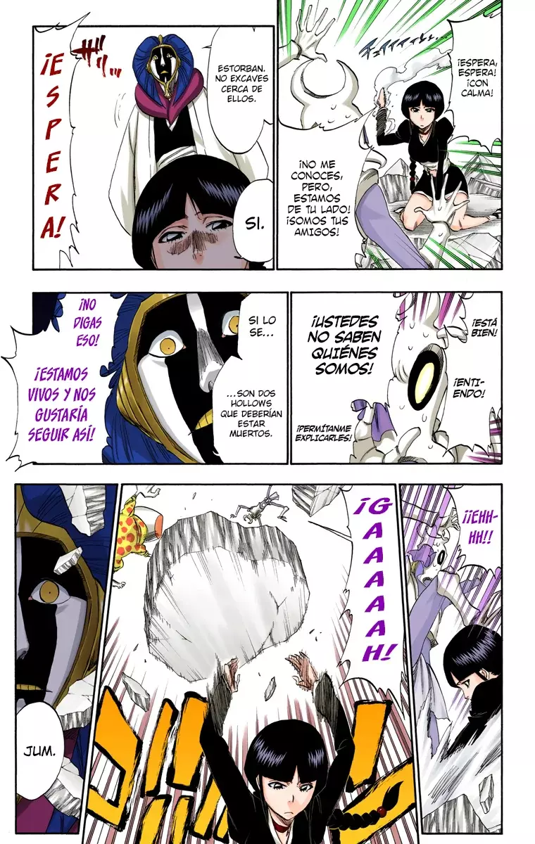 Read Bleach Full Color ES Manga Online