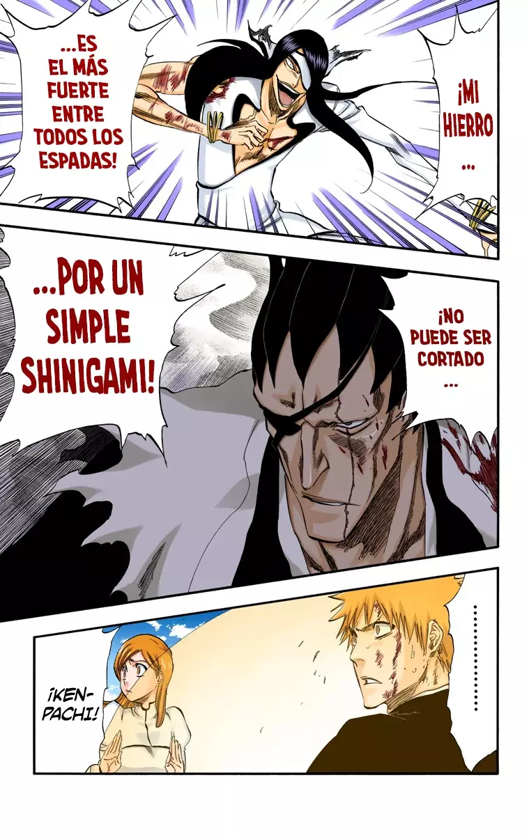 Read Bleach Full Color ES Manga Online