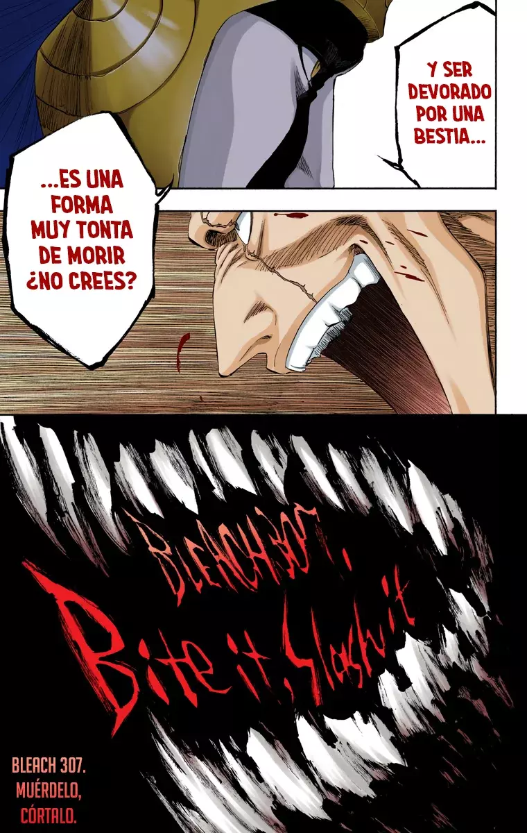 Read Bleach Full Color ES Manga Online