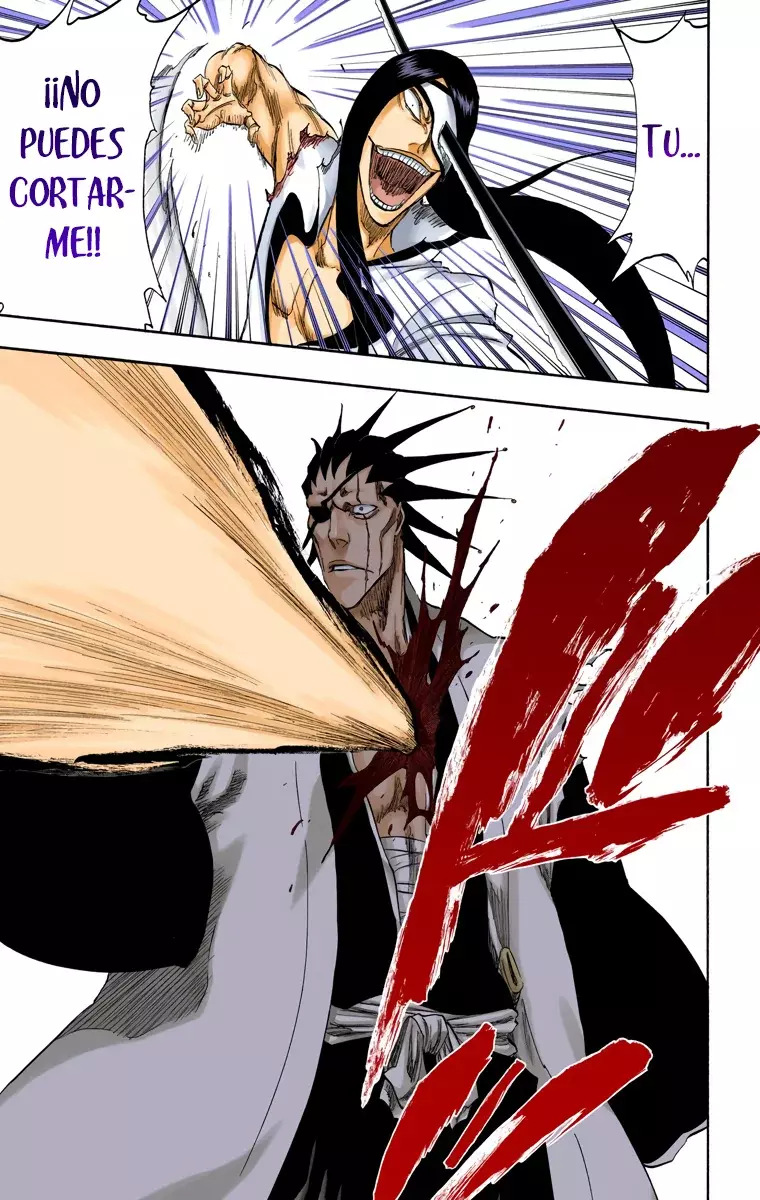 Read Bleach Full Color ES Manga Online