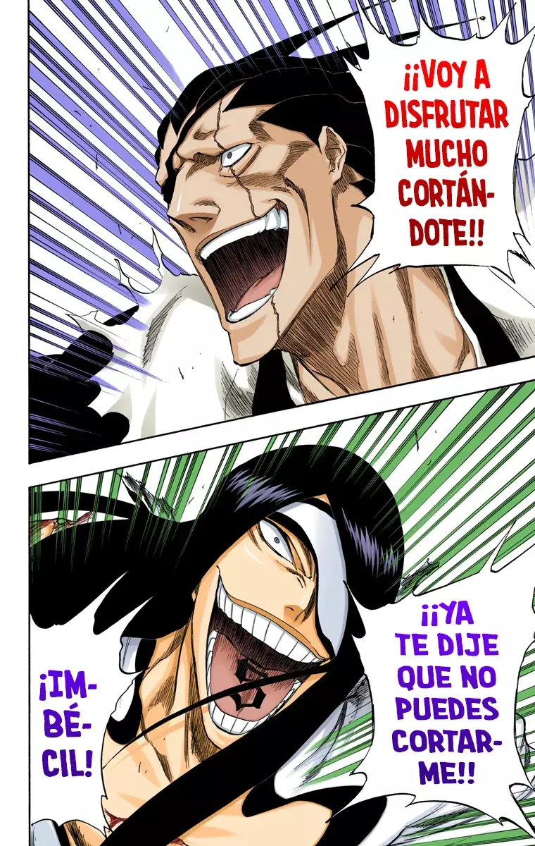 Read Bleach Full Color ES Manga Online