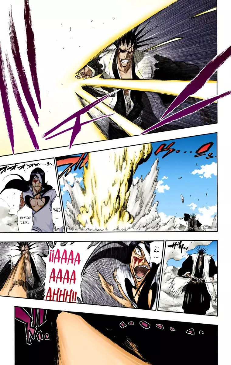 Read Bleach Full Color ES Manga Online