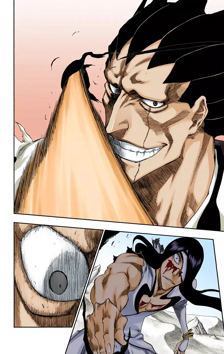 Read Bleach Full Color ES Manga Online