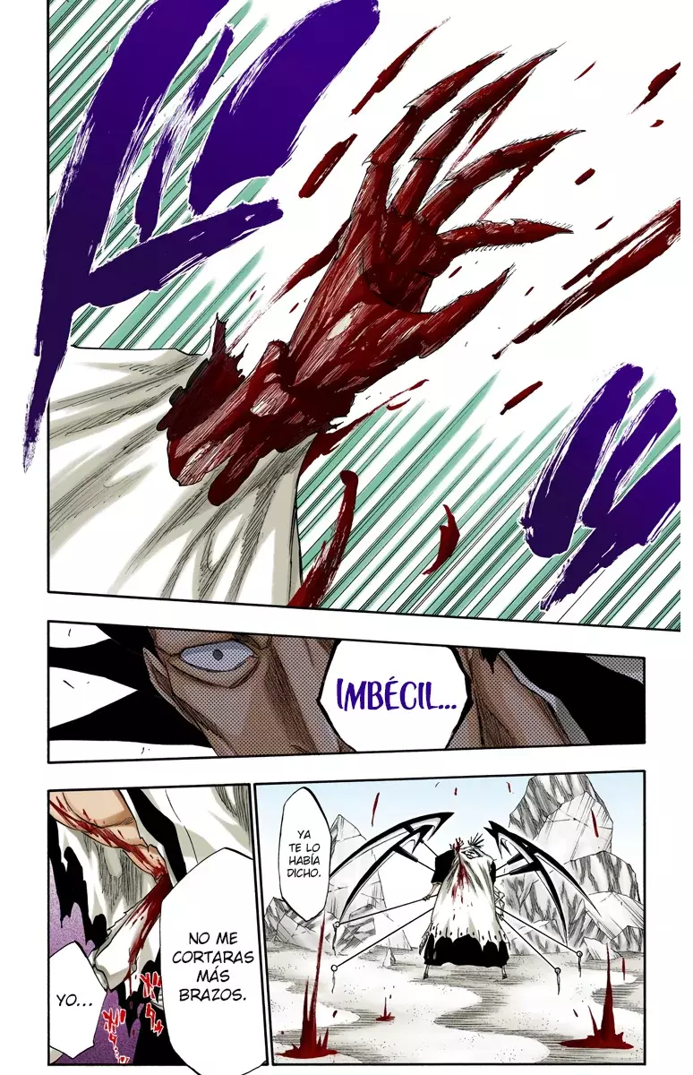 Read Bleach Full Color ES Manga Online