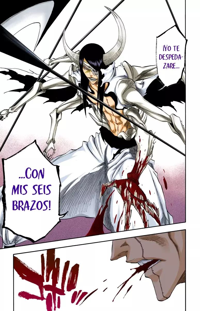 Read Bleach Full Color ES Manga Online