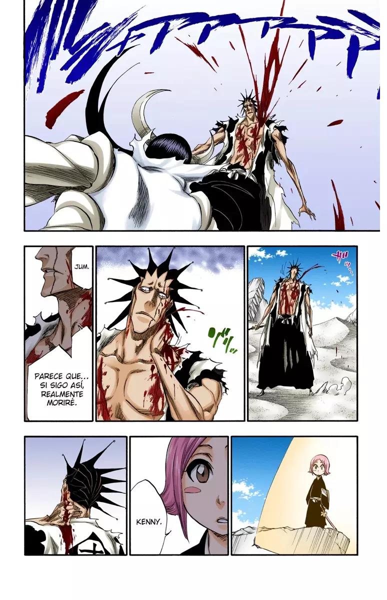 Read Bleach Full Color ES Manga Online