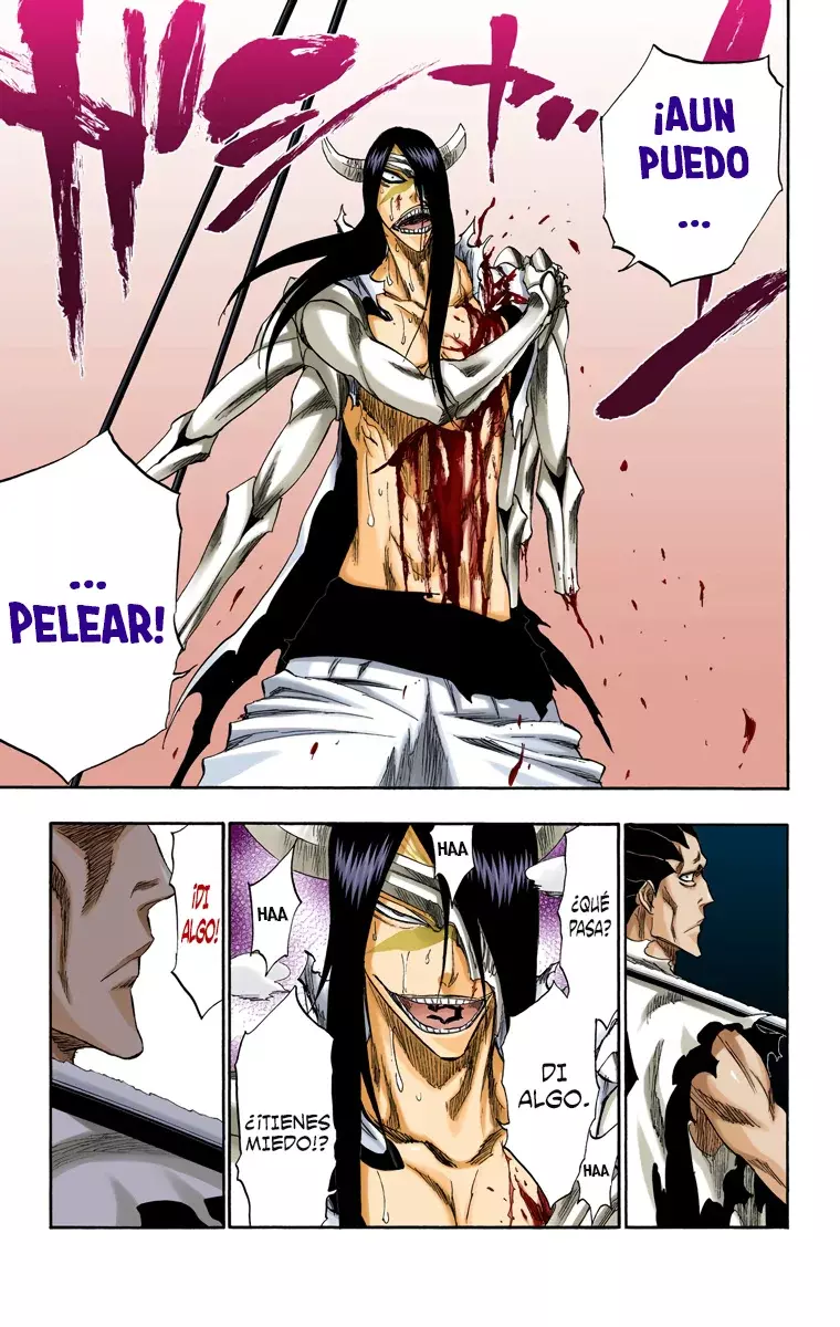 Read Bleach Full Color ES Manga Online
