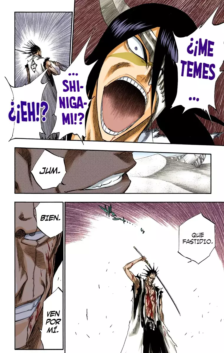 Read Bleach Full Color ES Manga Online