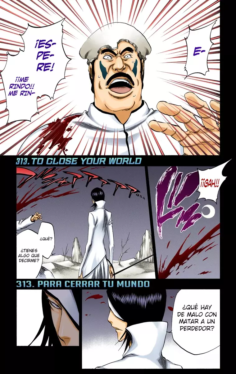 Read Bleach Full Color ES Manga Online