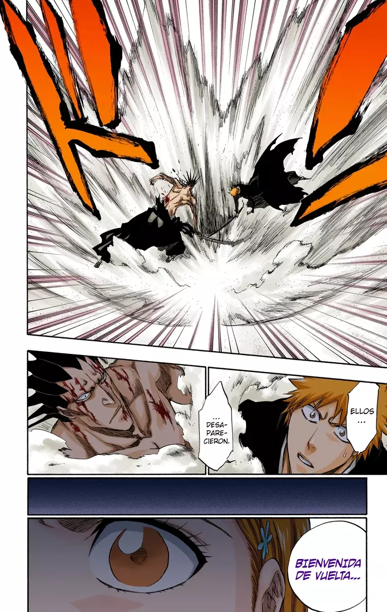 Read Bleach Full Color ES Manga Online