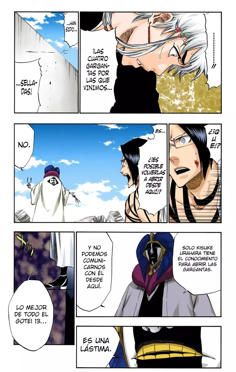 Read Bleach Full Color ES Manga Online