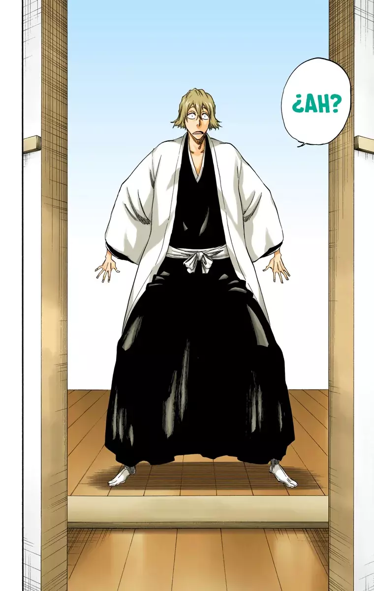 Read Bleach Full Color ES Manga Online