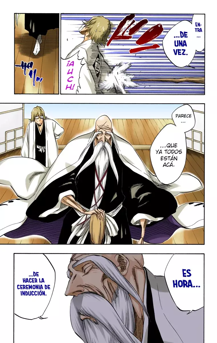 Read Bleach Full Color ES Manga Online