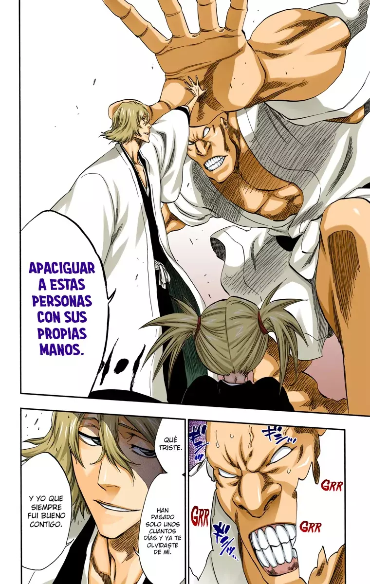 Read Bleach Full Color ES Manga Online