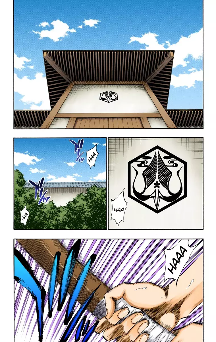 Read Bleach Full Color ES Manga Online