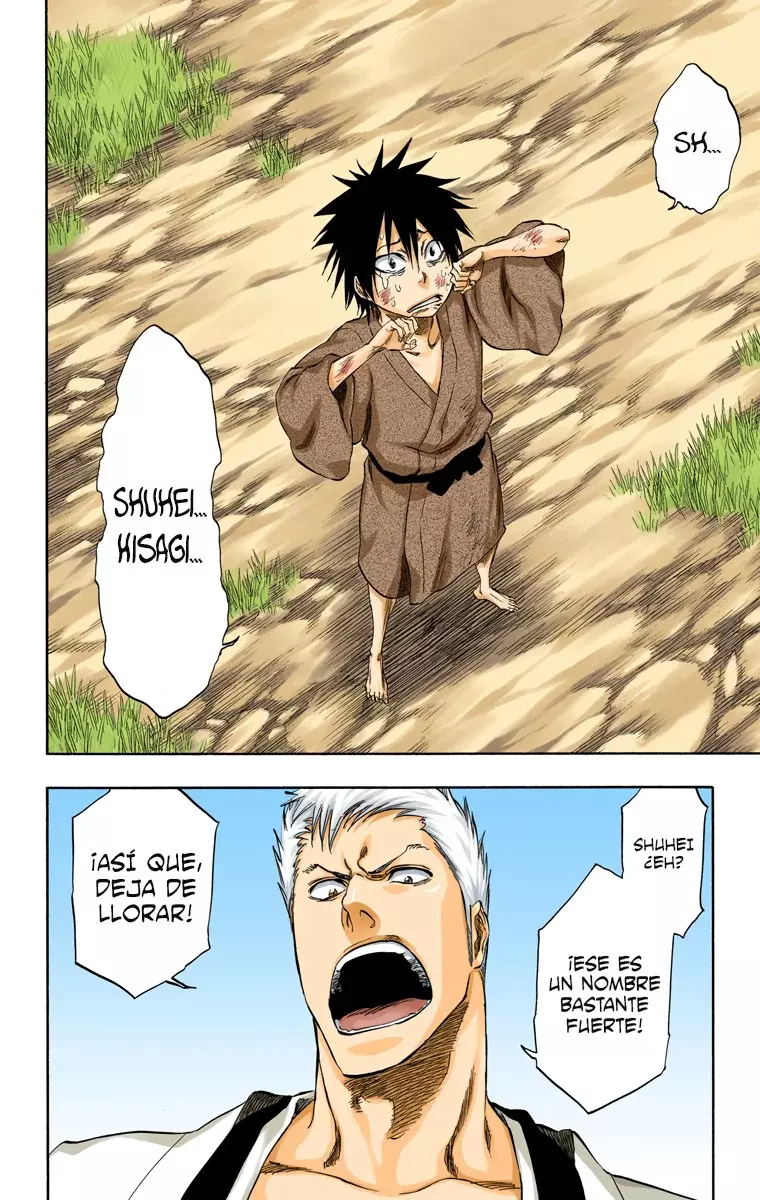 Read Bleach Full Color ES Manga Online