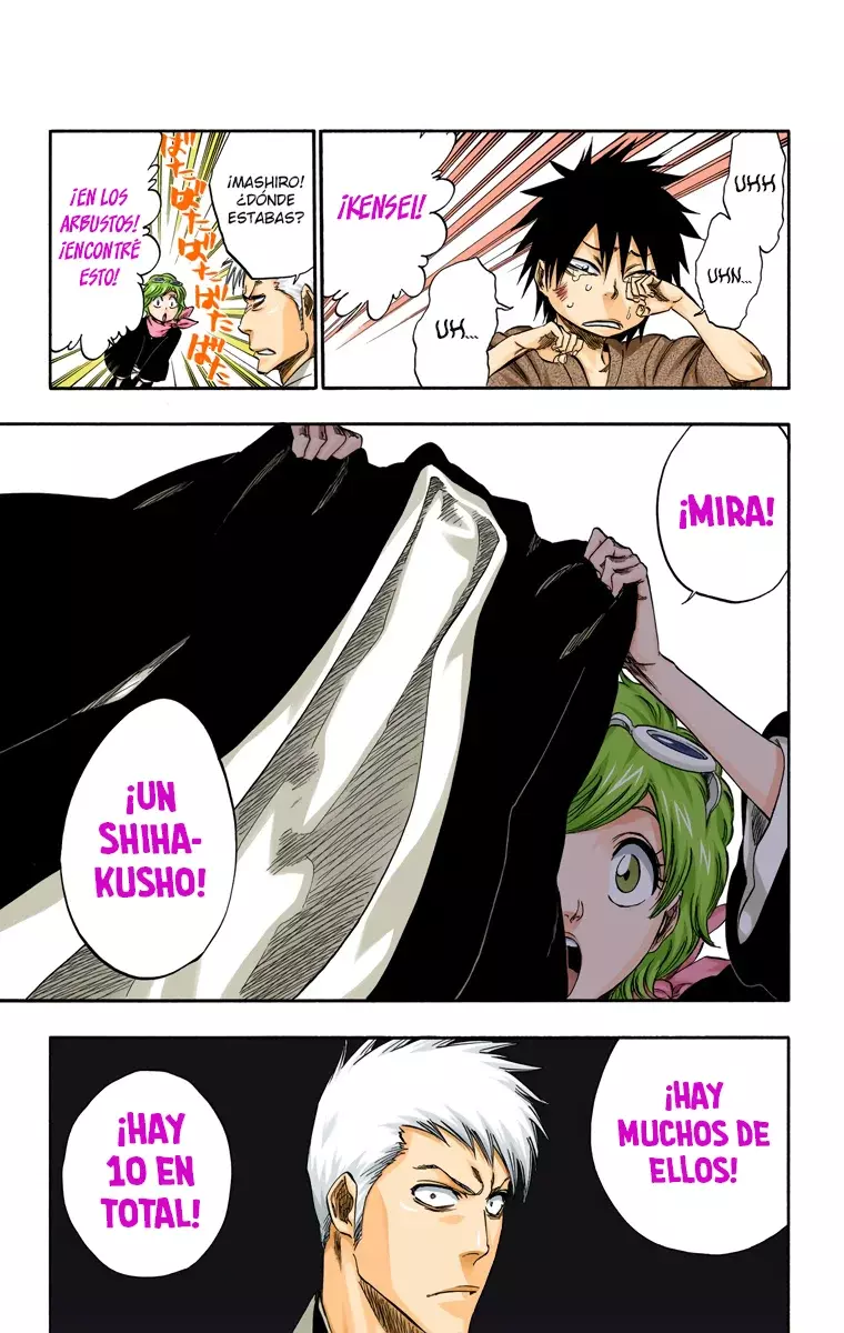 Read Bleach Full Color ES Manga Online