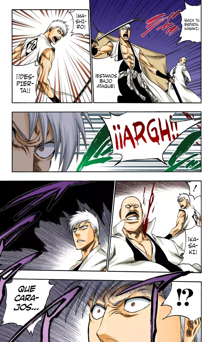 Read Bleach Full Color ES Manga Online