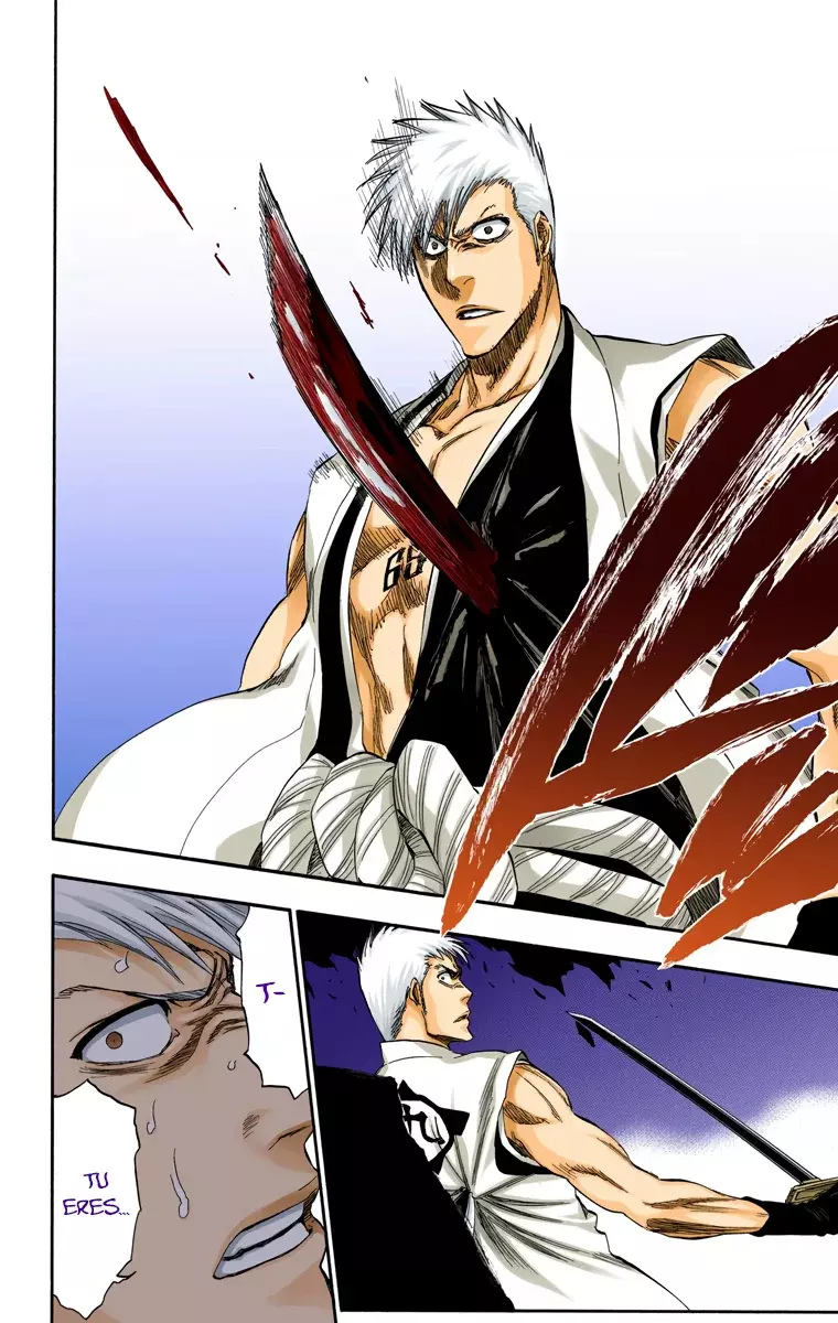 Read Bleach Full Color ES Manga Online