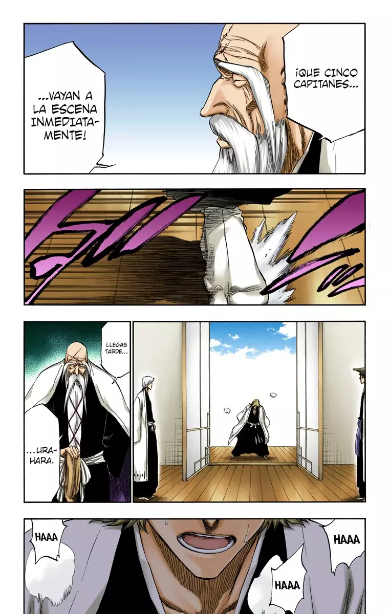 Read Bleach Full Color ES Manga Online