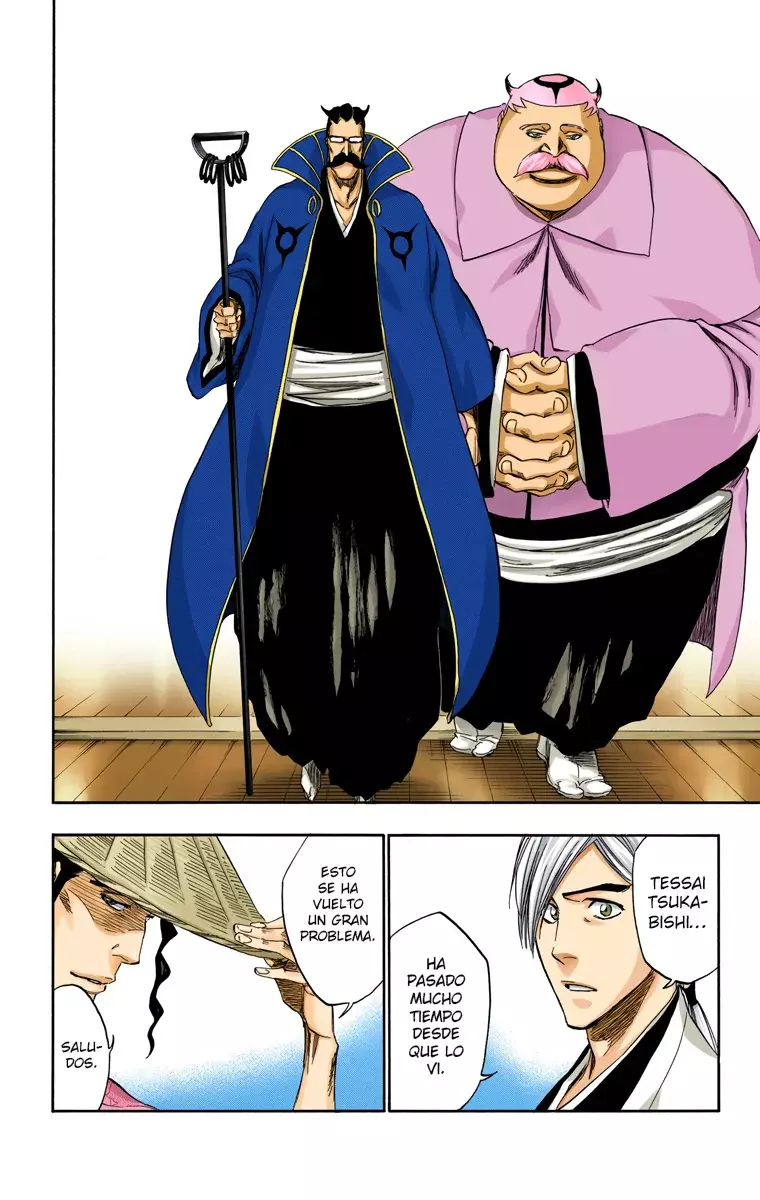 Read Bleach Full Color ES Manga Online