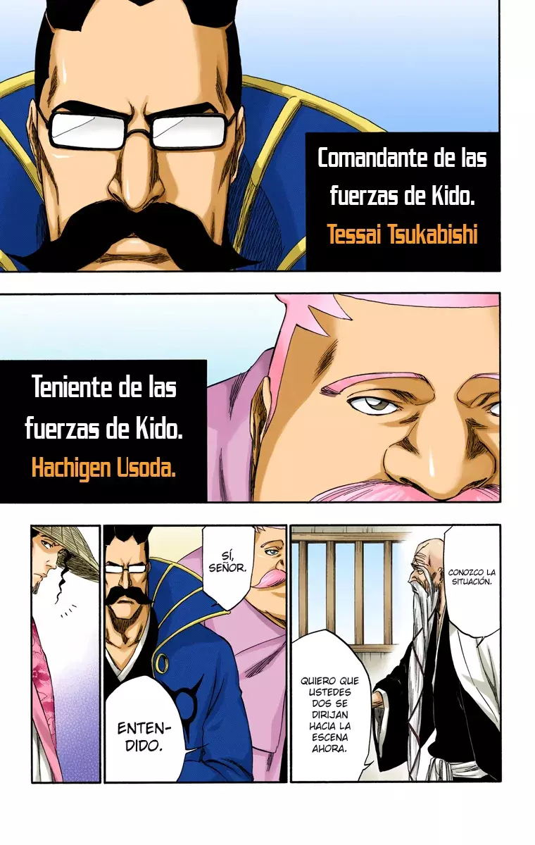 Read Bleach Full Color ES Manga Online