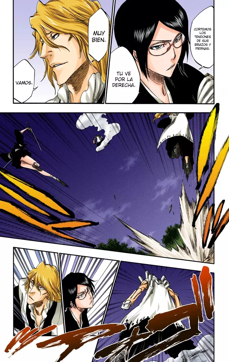 Read Bleach Full Color ES Manga Online