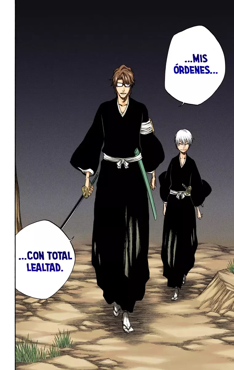 Read Bleach Full Color ES Manga Online
