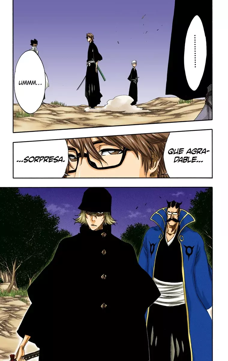Read Bleach Full Color ES Manga Online
